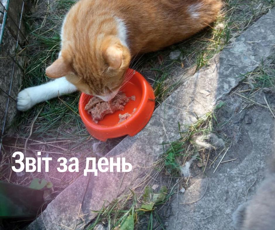 📌 872 день повномасштабного вторгнення