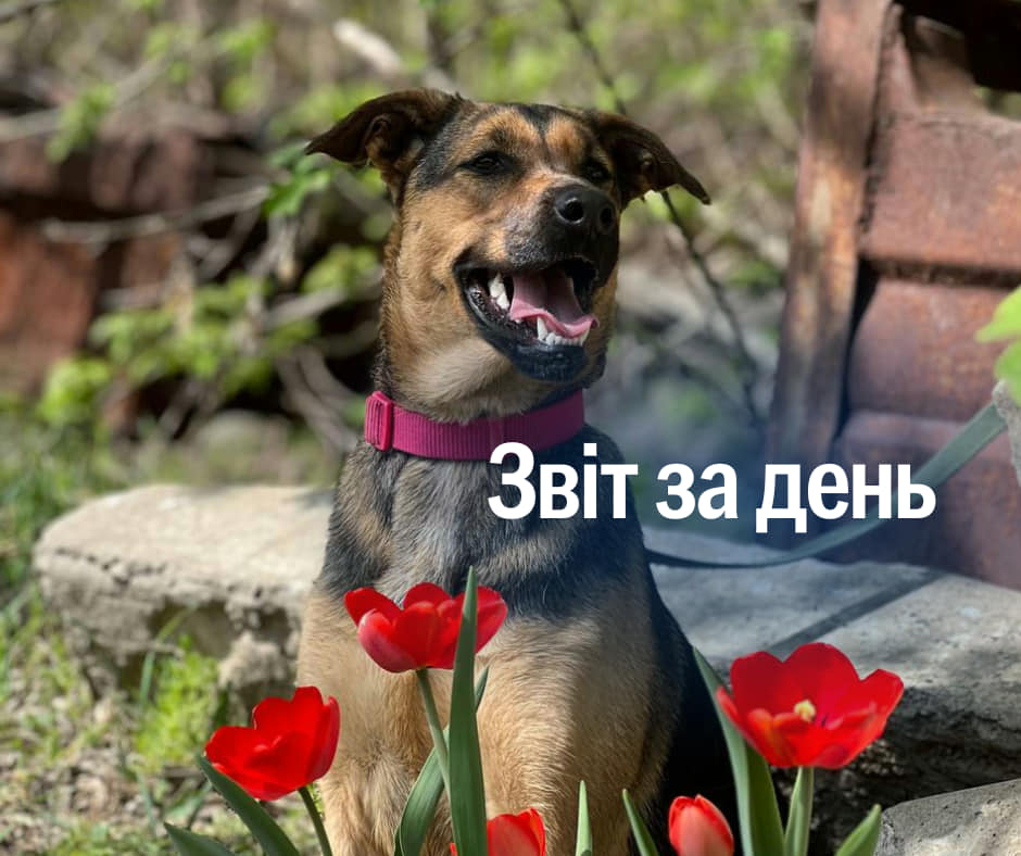 📌 875 день повномасштабного вторгнення