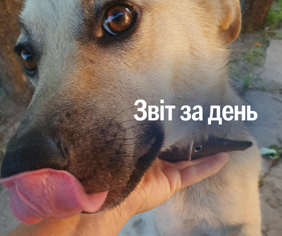 📌 874 день повномасштабного вторгнення