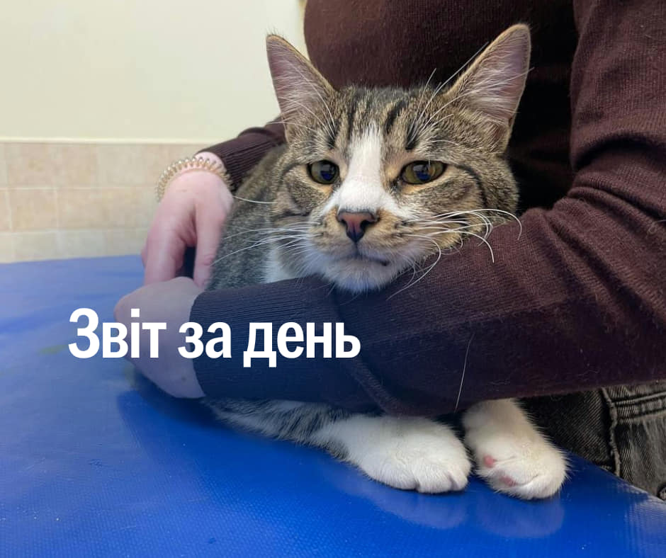 📌 876 день повномасштабного вторгнення