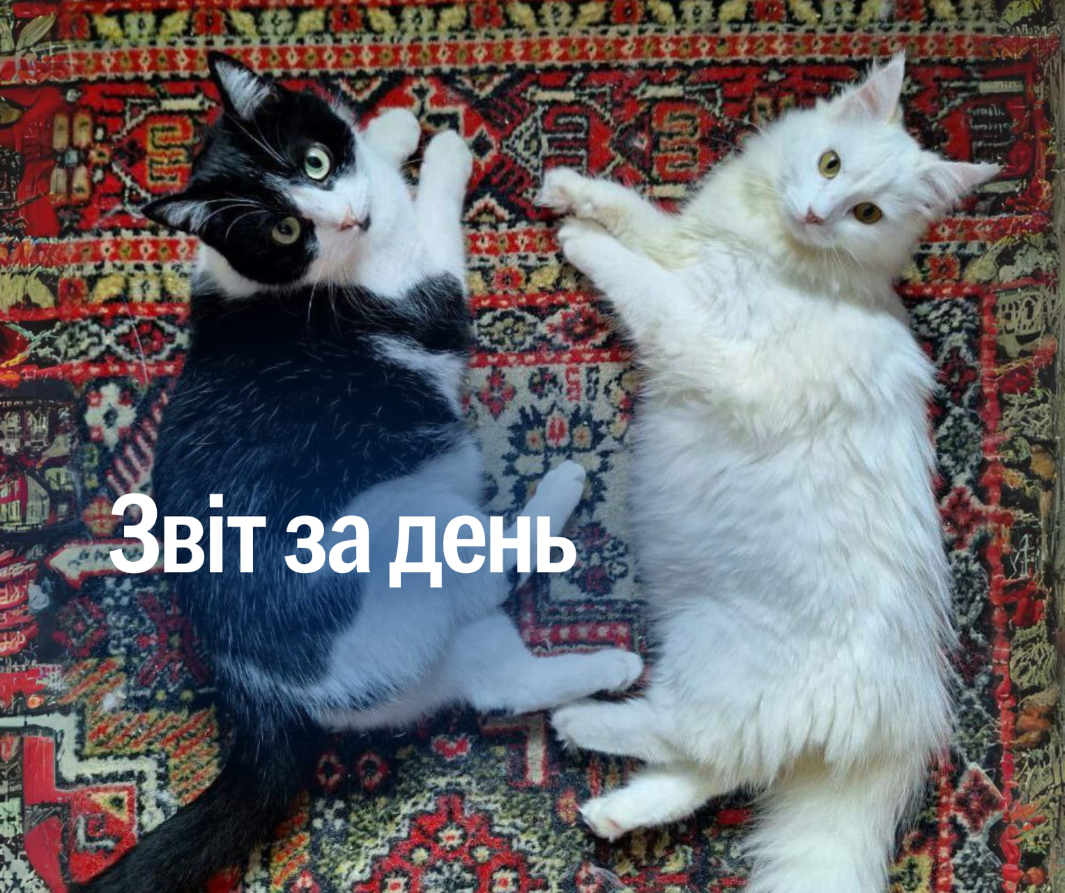 📌 879 день повномасштабного вторгнення