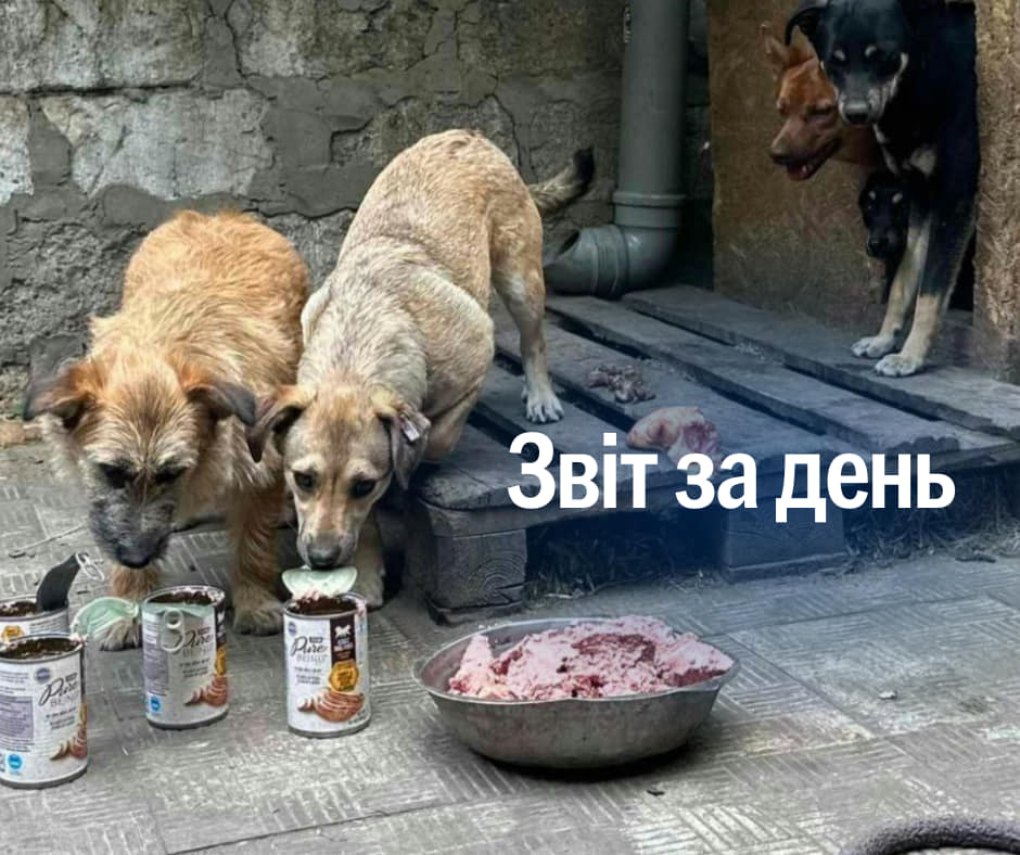 📌 881 день повномасштабного вторгнення