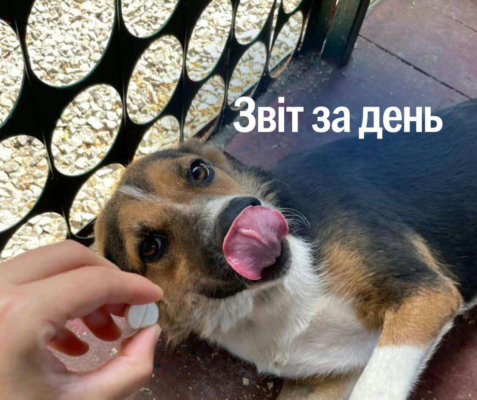 📌 882 день повномасштабного вторгнення. І вже лишилося три дні до Маршу прибирання 😱