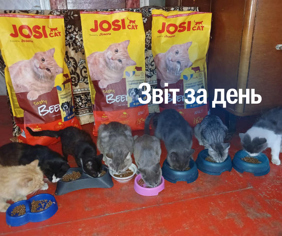 📌 880 день повномасштабного вторгнення