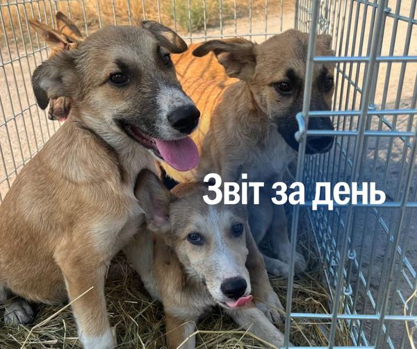 📌 884 день повномасштабного вторгнення.