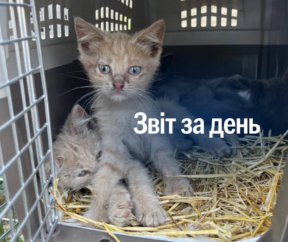 📌 890 день повномасштабного вторгнення