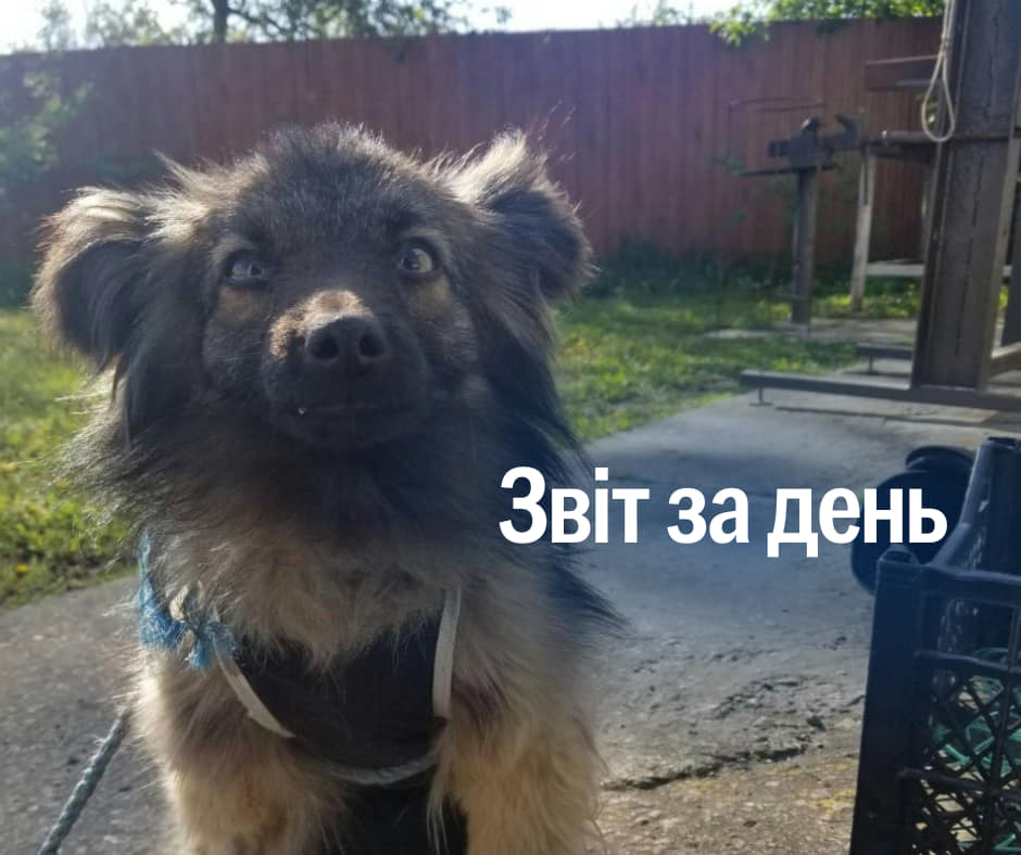 📌 891 день повномасштабного вторгнення