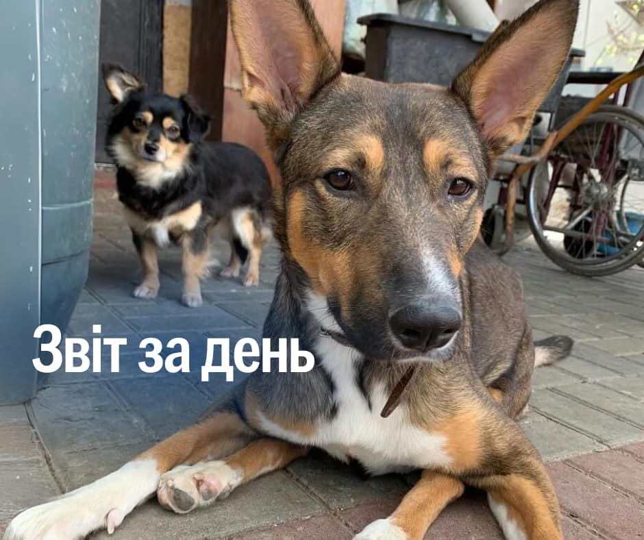 📌 896 день повномасштабного вторгнення