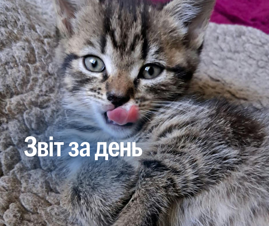 📌 895 день повномасштабного вторгнення