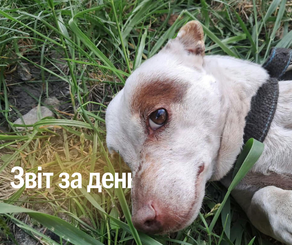 📌902 день повномасштабного вторгнення