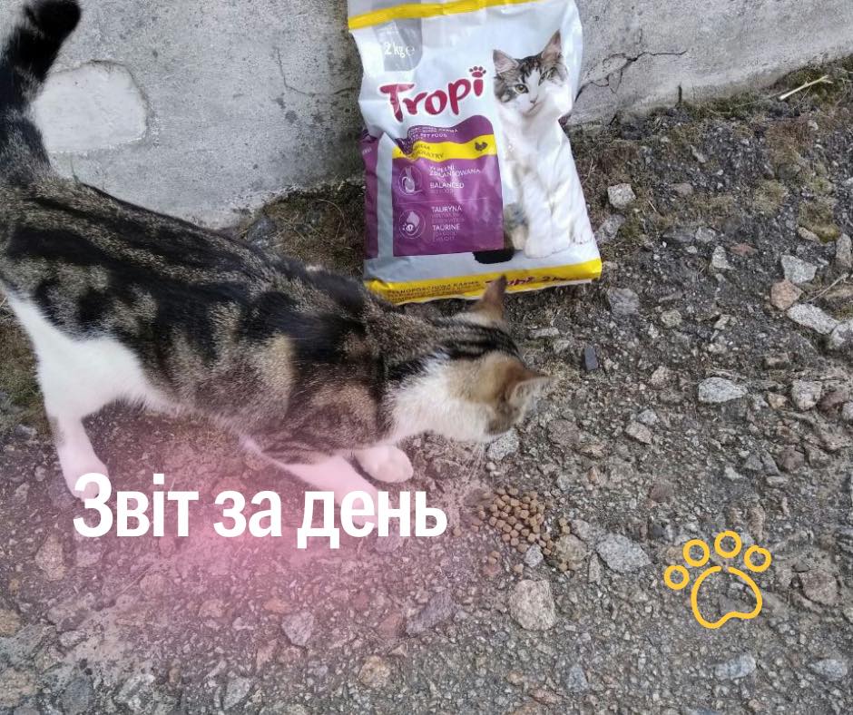 📌 900 день повномасштабного вторгнення