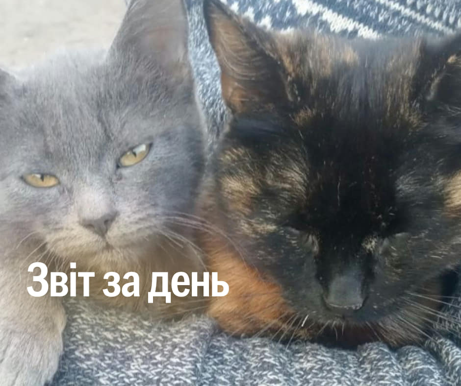 📌903 день повномасштабного вторгнення