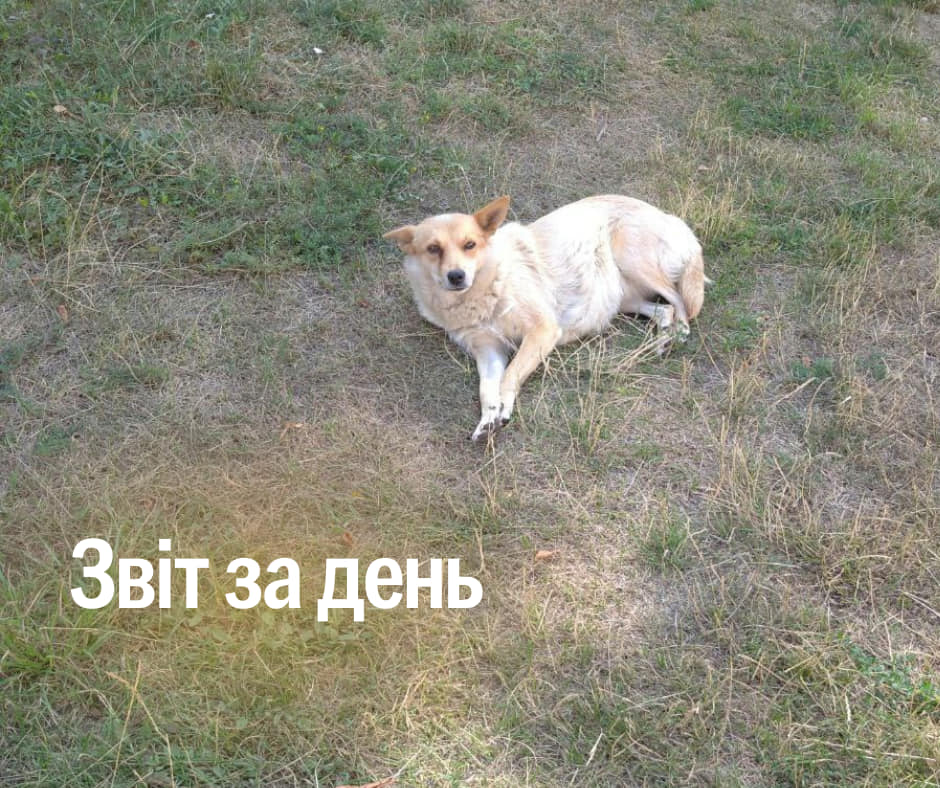 📌905 день повномасштабного вторгнення