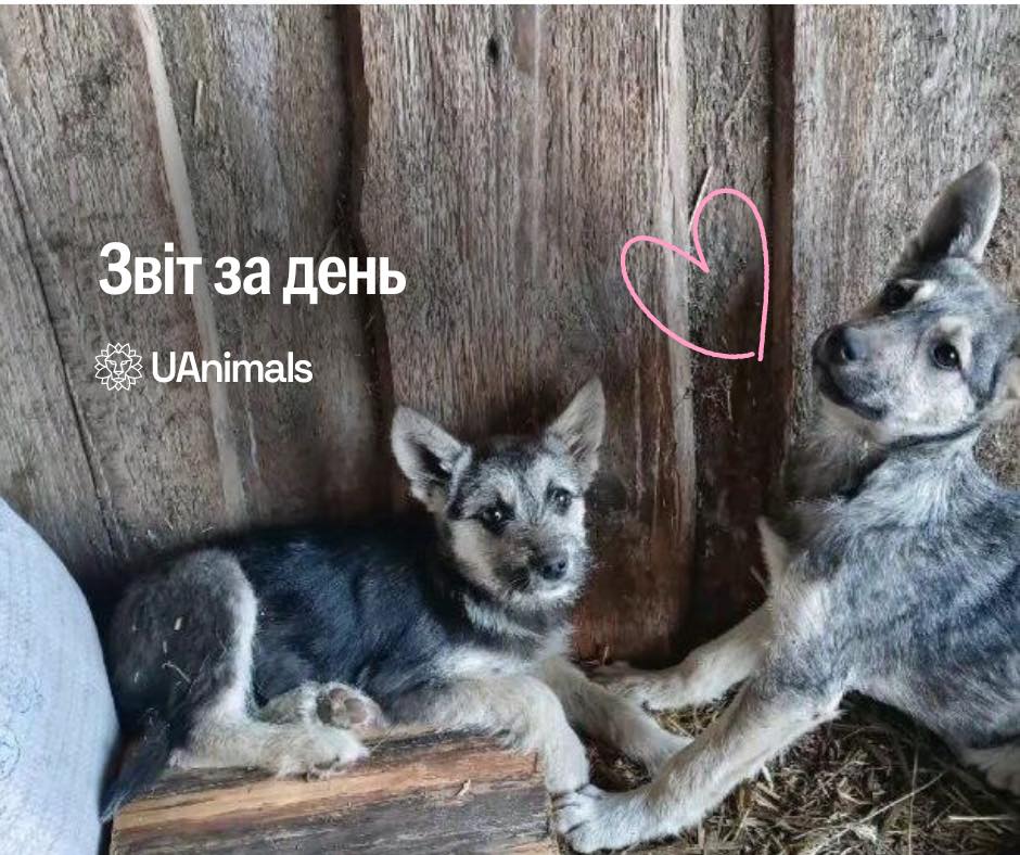 📌 906 день повномасштабного вторгнення