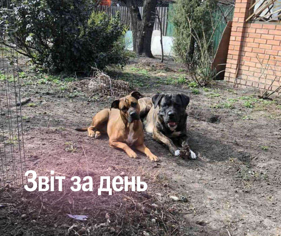 📌904 день повномасштабного вторгнення