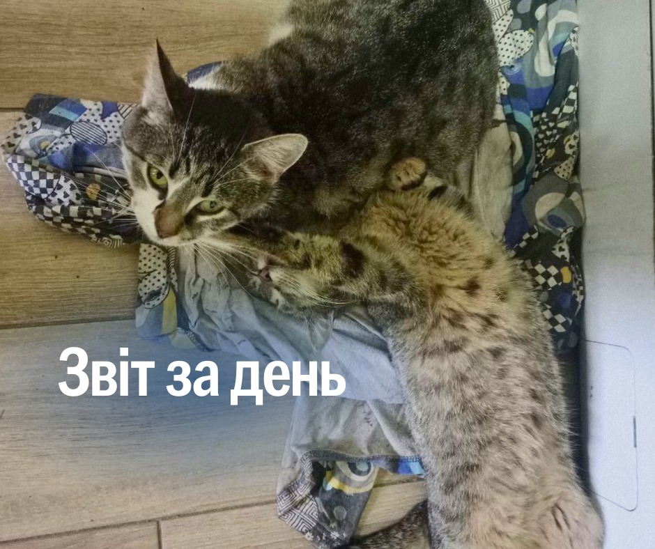 📌 908 день повномасштабного вторгнення