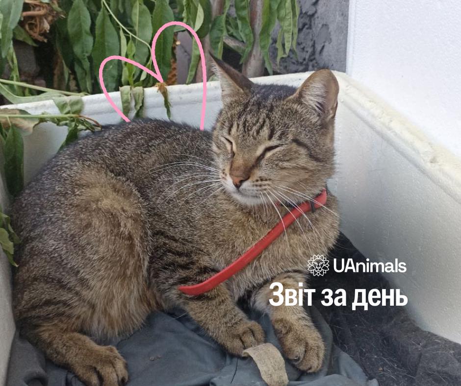 📌 907 день повномасштабного вторгнення