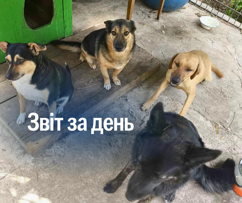 📌 912 день повномасштабного вторгнення