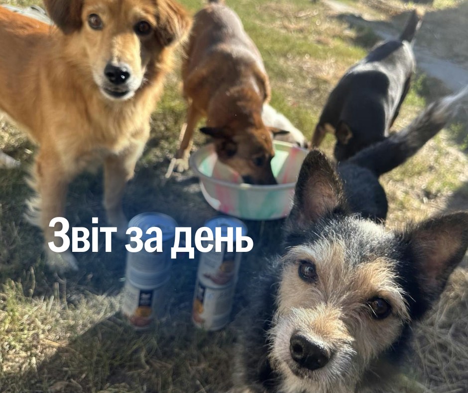 📌 913 день повномасштабного вторгнення
