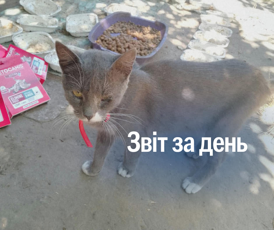 📌 916 день повномасштабного вторгнення