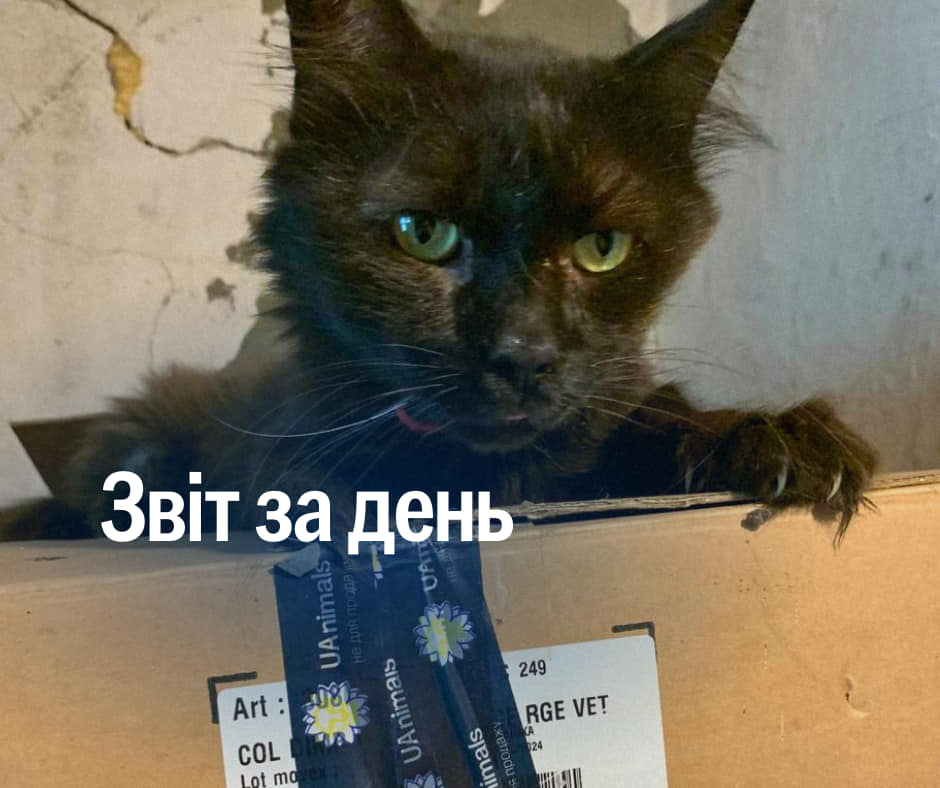 📌 918 день повномасштабного вторгнення