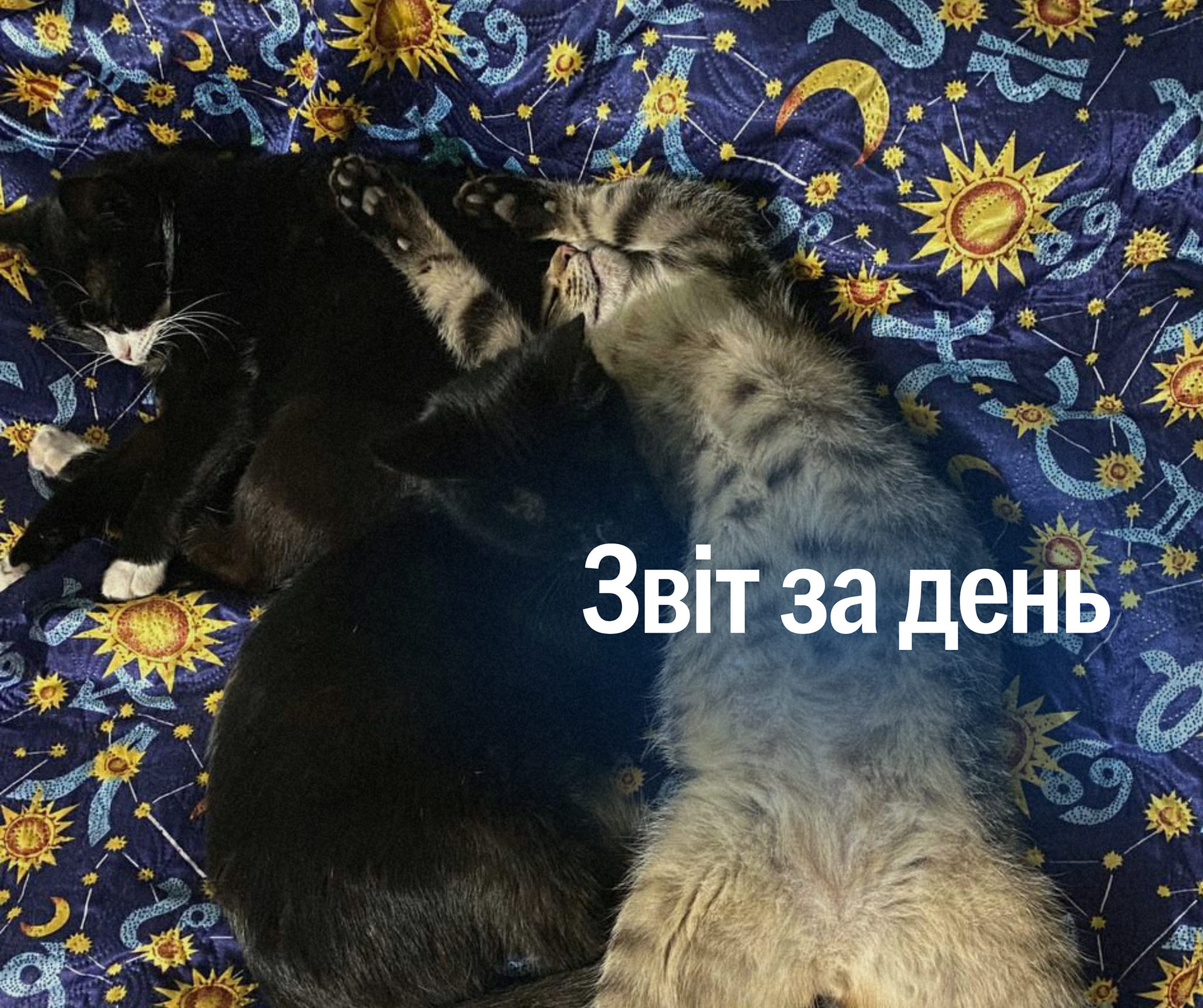 📌 915 день повномасштабного вторгнення
