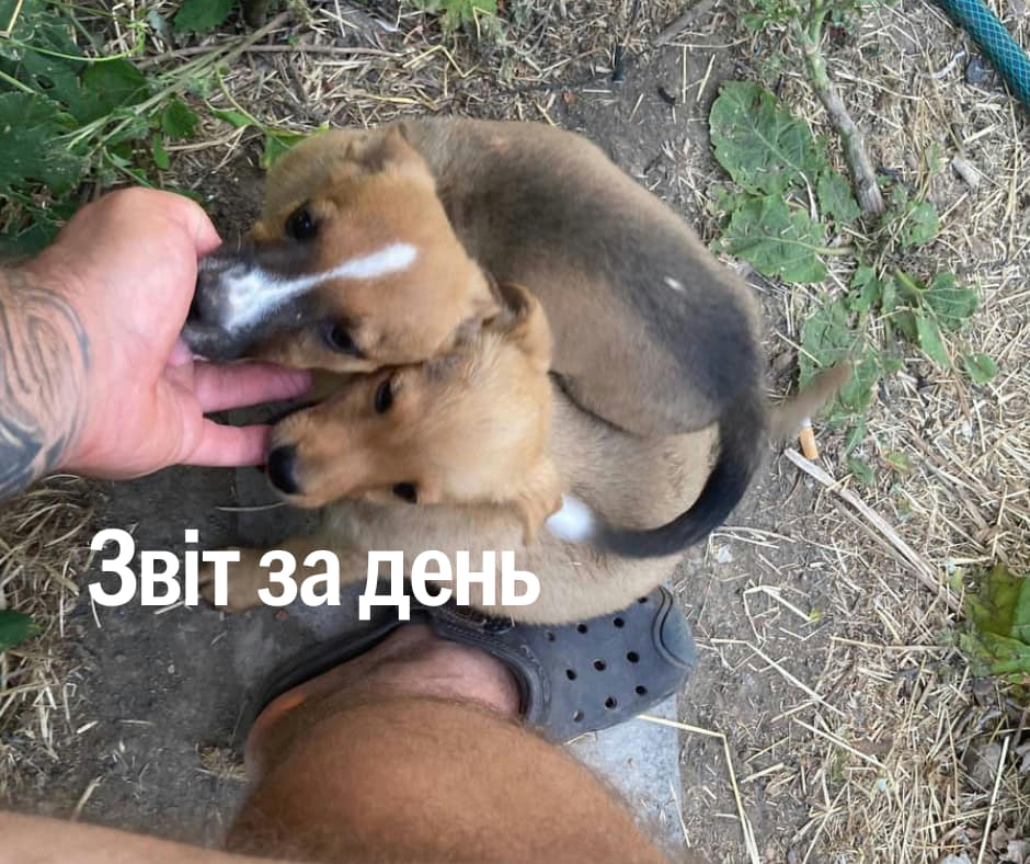 920 день повномасштабного вторгнення і останній день літа-2024