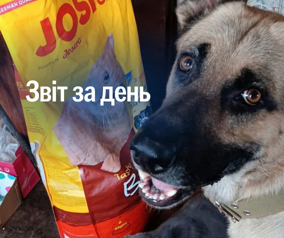 📌 919 день повномасштабного вторгнення
