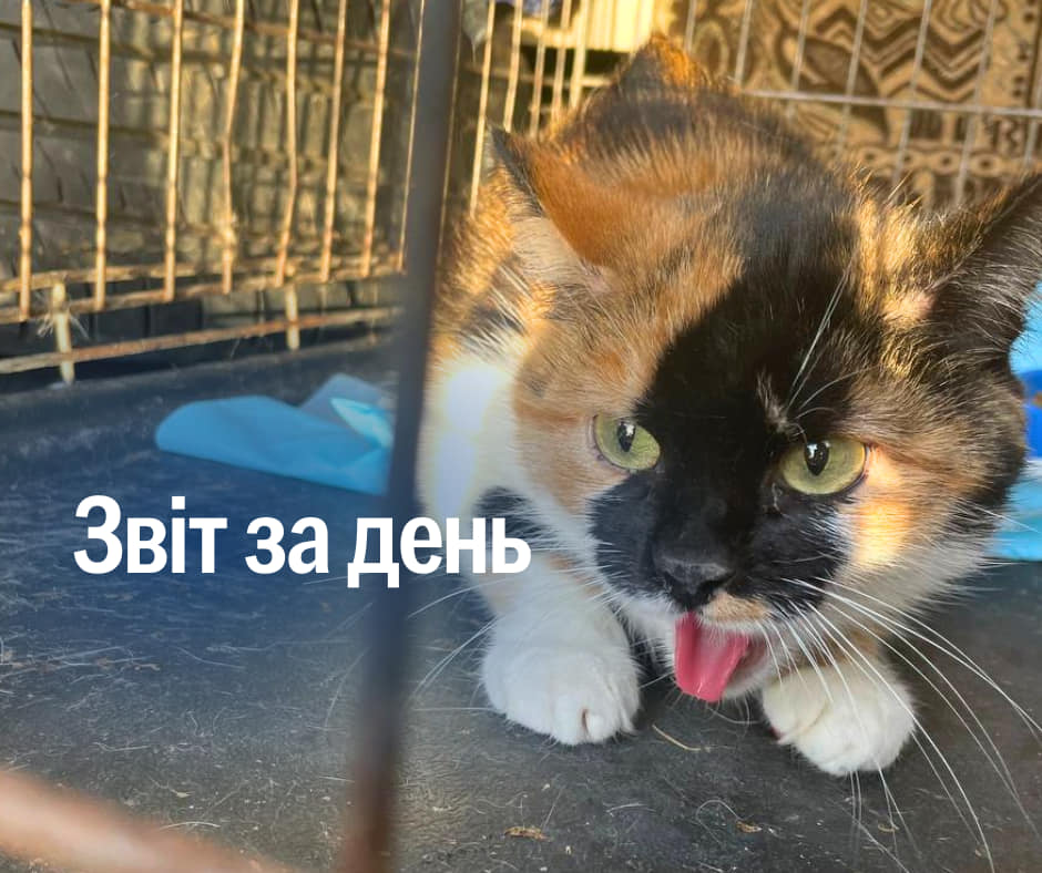 📌 924 день повномасштабного вторгнення