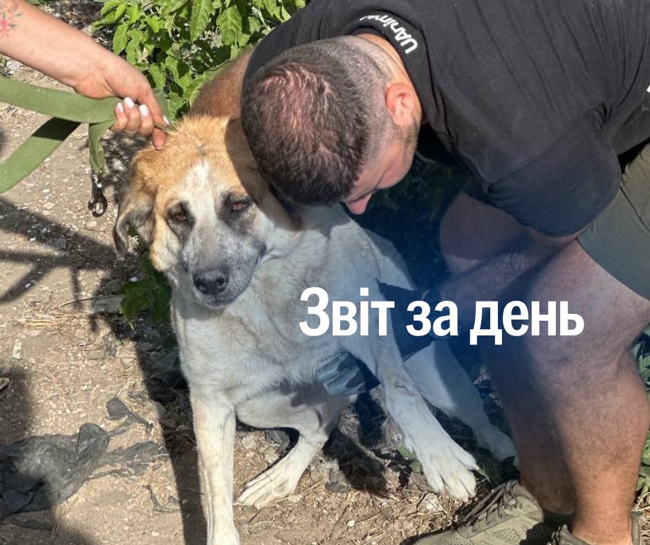 📌 922 день повномасштабного вторгнення