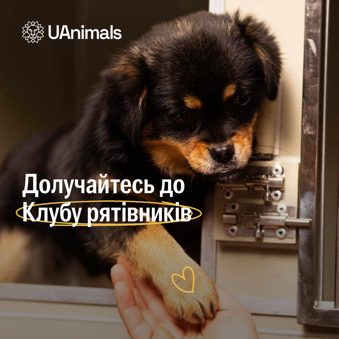 Простягніть руку допомоги тим, хто має лапи, крила, копитця та плавці 🐾