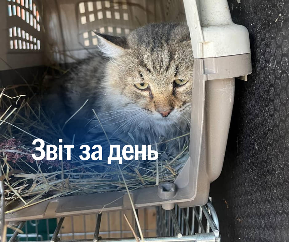 📌931 день повномасштабного вторгнення