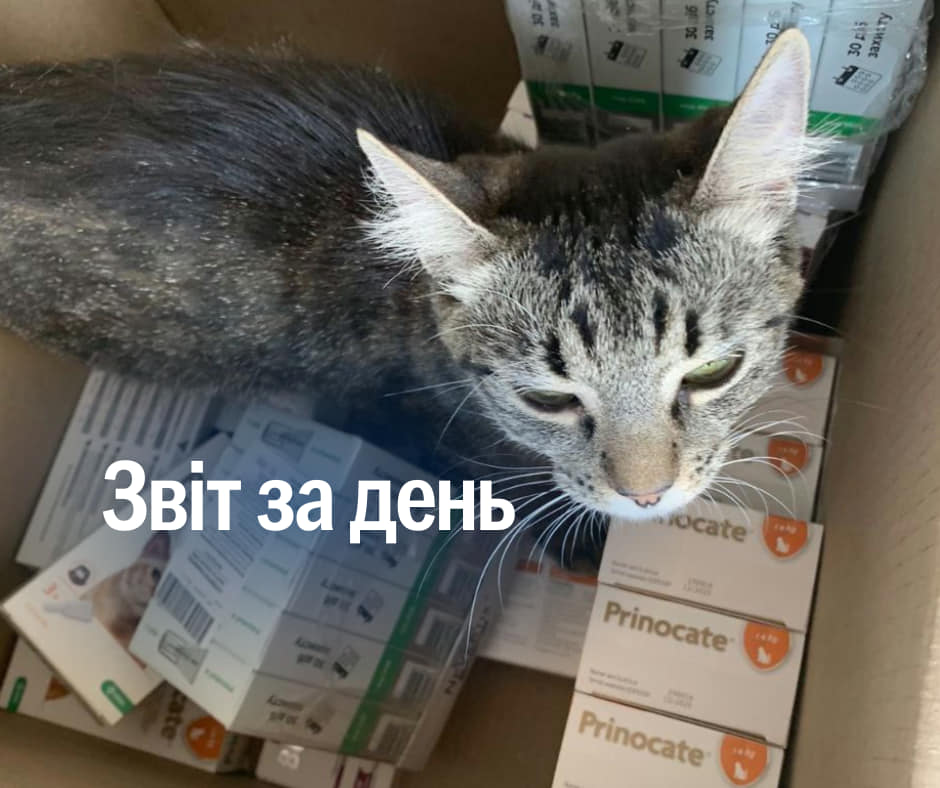 📌932 день повномасштабного вторгнення