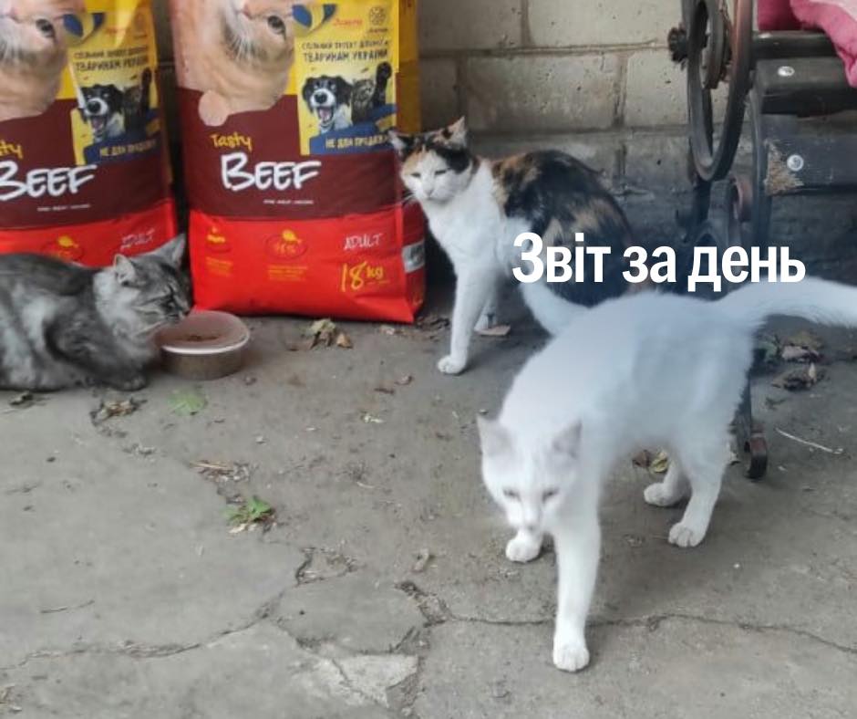 📌 934 день повномасштабного вторгнення