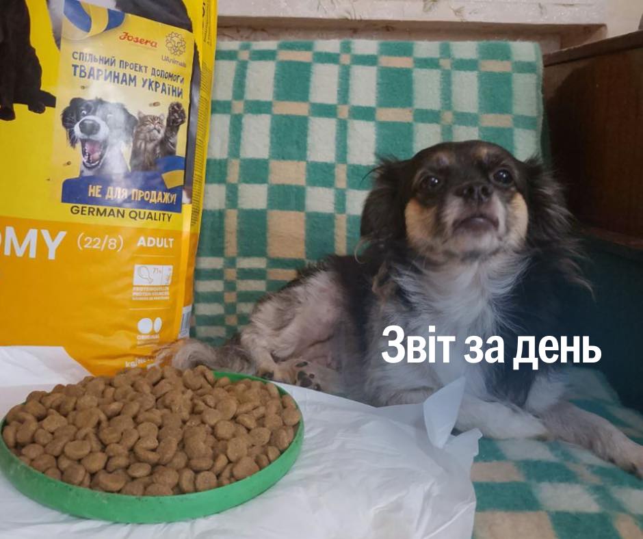 📌 935 день повномасштабного вторгнення