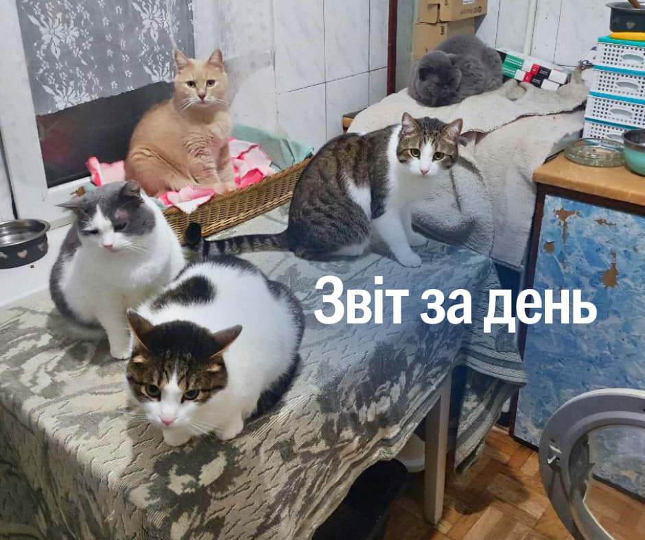 📌 936 день повномасштабного вторгнення
