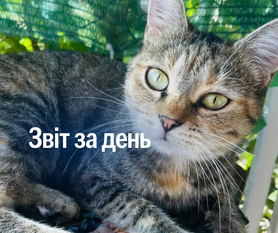 📌 938 день повномасштабного вторгнення