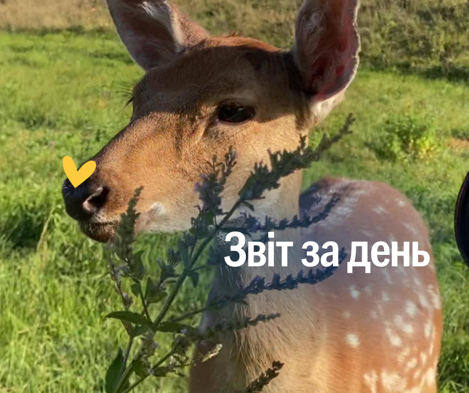 📌 937 день повномасштабного вторгнення