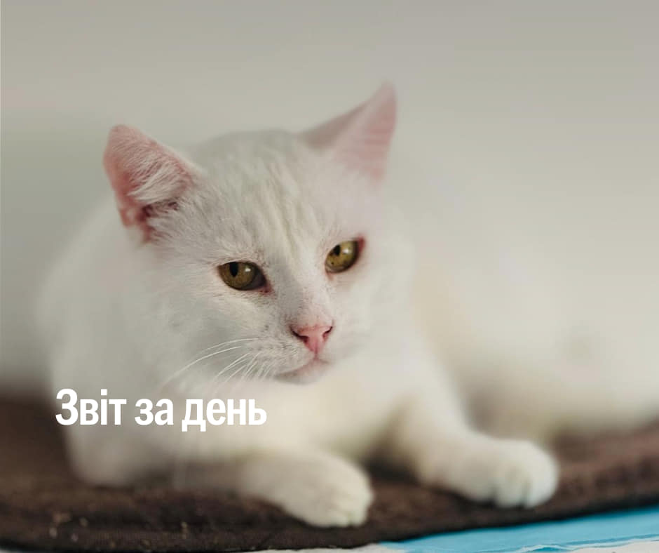 942 день повномасштабного вторгнення