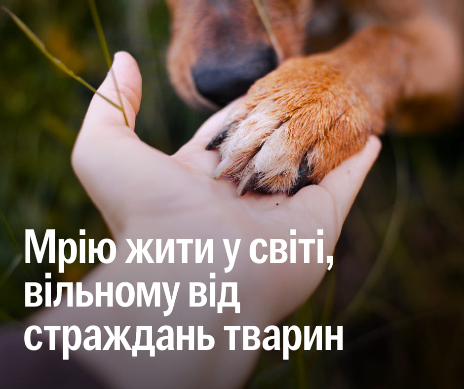 Не віримо ні в які забобони…
