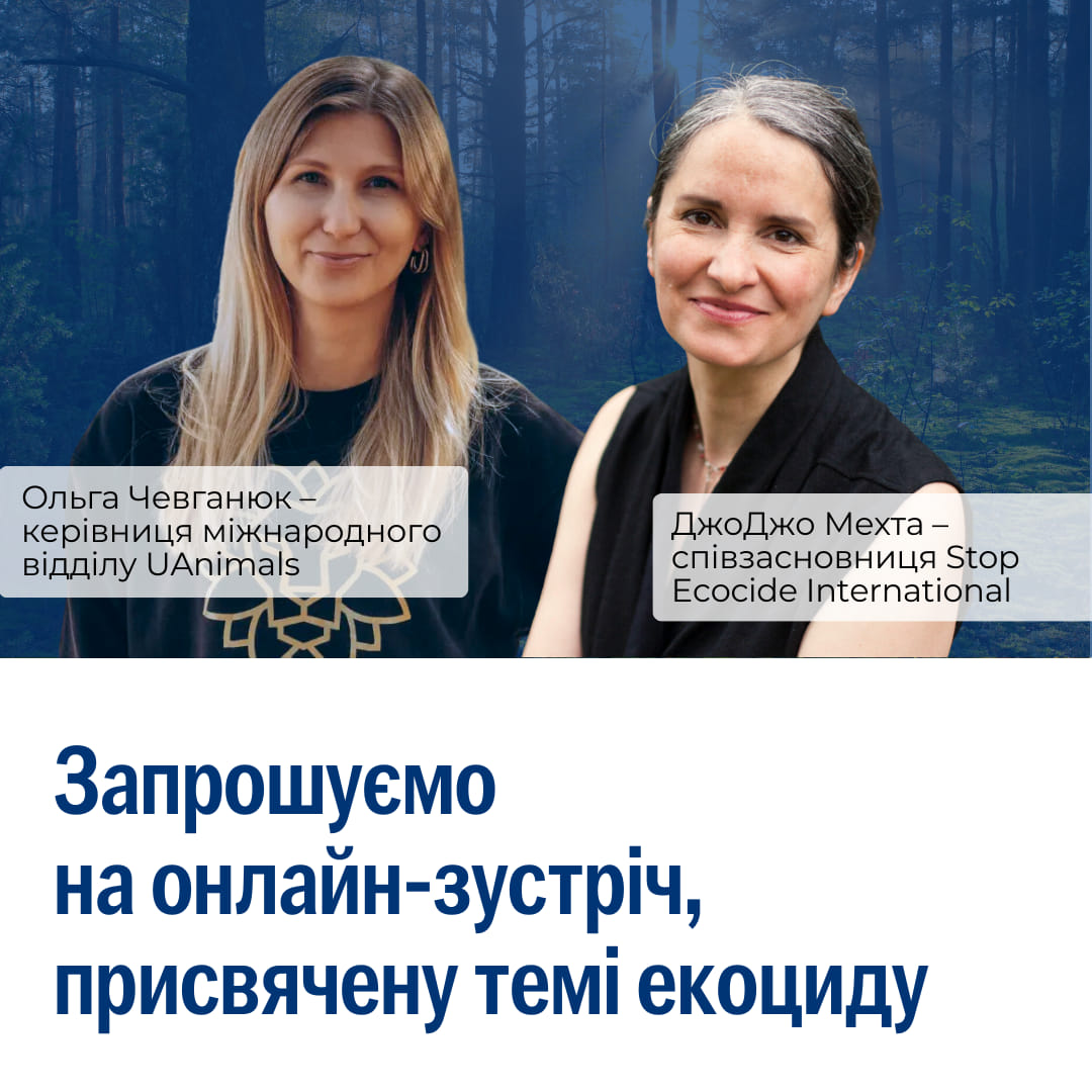 Запрошуємо на онлайн-зустріч із ДжоДжо Мехтою – співзасновницею Stop Ecocide International (SEI)