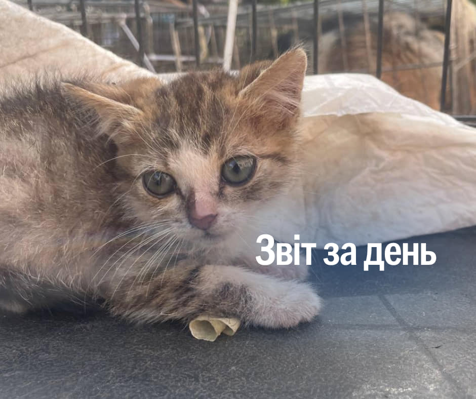 📌 946 день повномасштабного вторгнення
