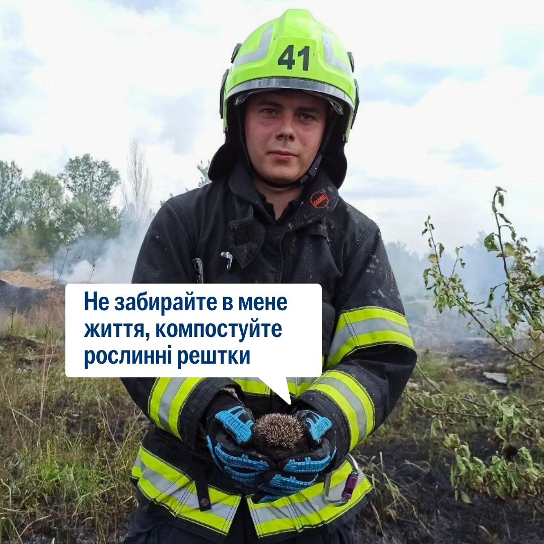 Цих їжаків вдалося врятувати 🙏