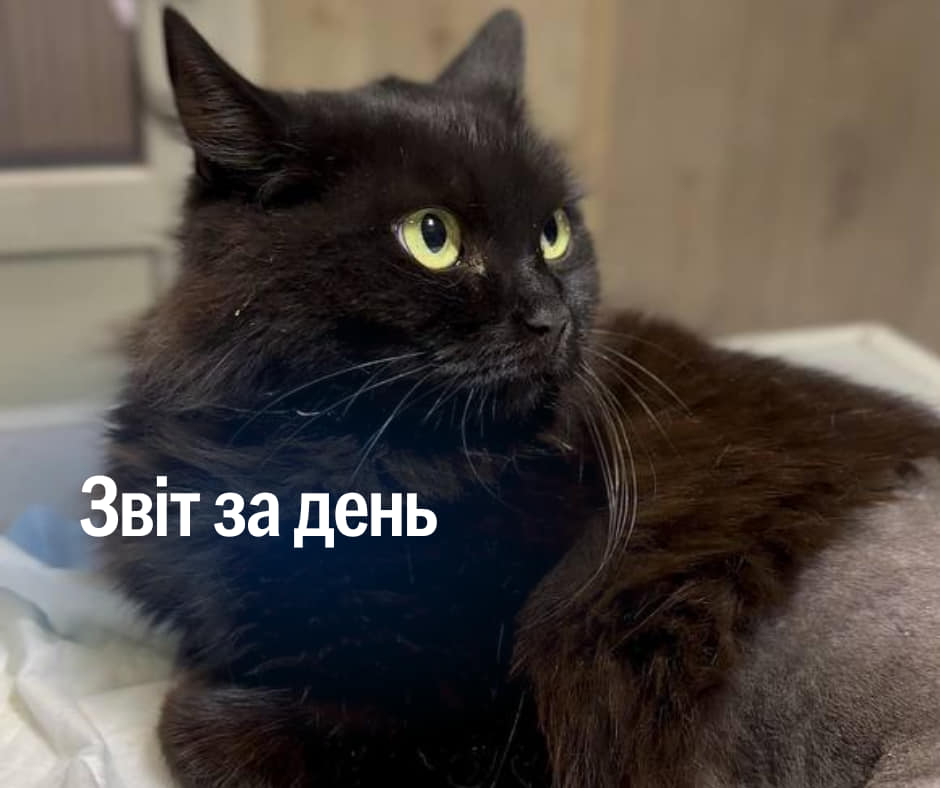 📌 945 день повномасштабного вторгнення