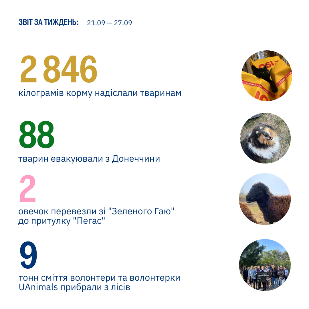 Захист тварин — це дія. Згодні?🔥