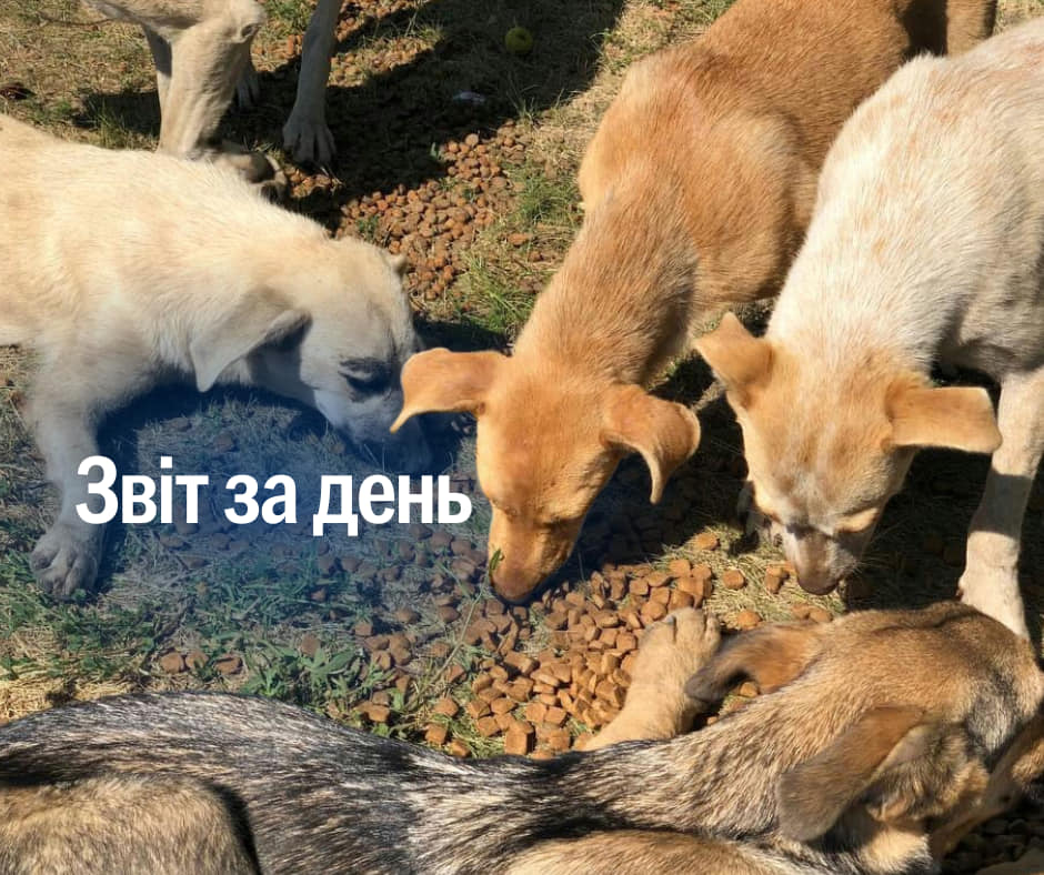 📌 948 день повномасштабного вторгнення