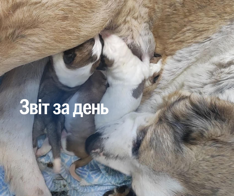 📌 947 день повномасштабного вторгнення