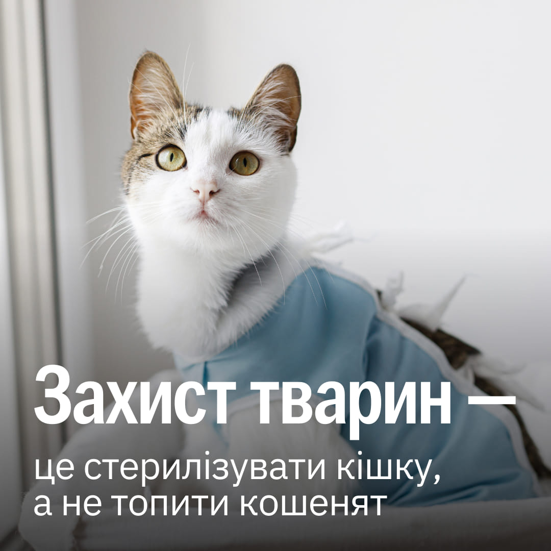 Захищати тварин — це ….справа кожної і кожного з нас!🔥🐾