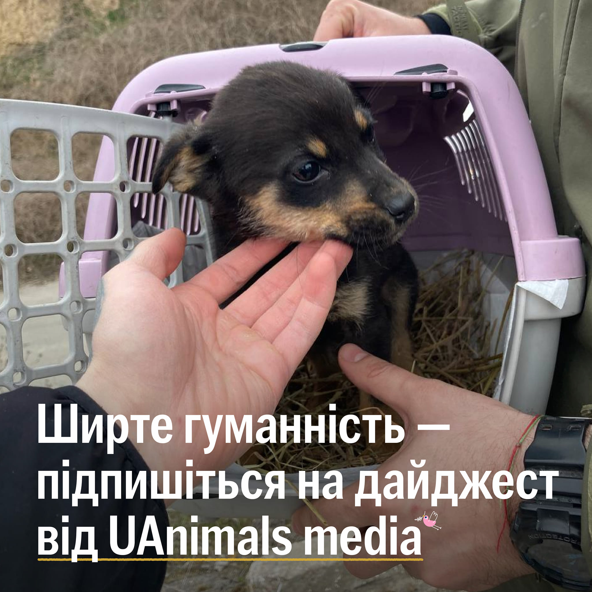 Наші листи не приносять поштарі та курʼєри…😓📩