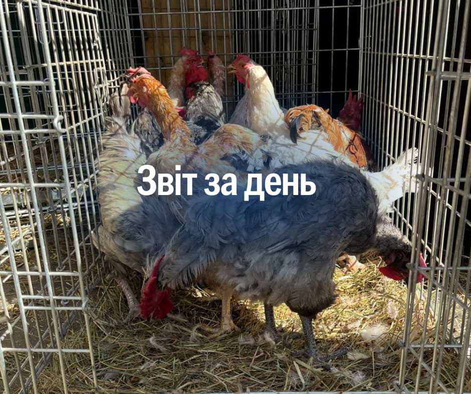 📌 953 день повномасштабного вторгнення